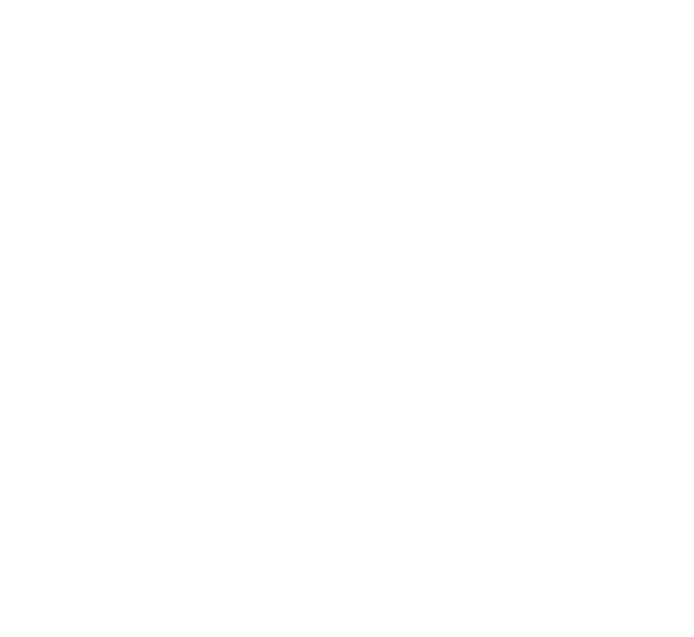 Logo společnosti TVIN